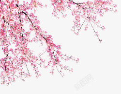 粉色边角桃花盛开高清图片