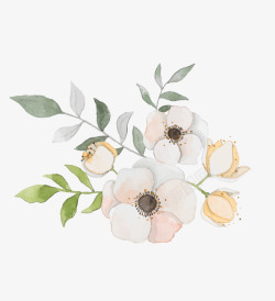 桃花叶子白色的花朵高清图片