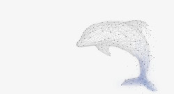抽象点线海豚高科技点线面线条高清图片