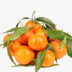 柑橘沙糖桔高清图片