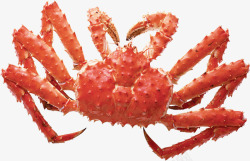 劳动节红色螃蟹海鲜素材