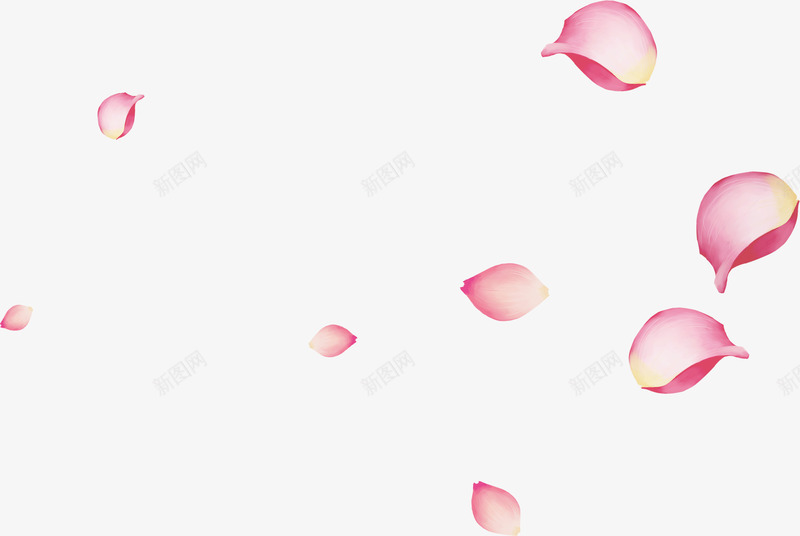 粉色可以创意花朵花瓣装饰png免抠素材_新图网 https://ixintu.com 创意 可以 粉色 花朵 花瓣 装饰