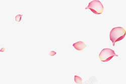 粉色可以创意花朵花瓣装饰素材