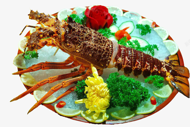 大龙虾免费png免抠素材_新图网 https://ixintu.com 免费图片 大龙虾 水产品 海鲜 美食 龙虾