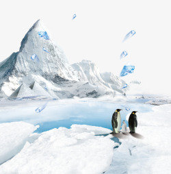 企鹅插画清新创意北极插画main高清图片