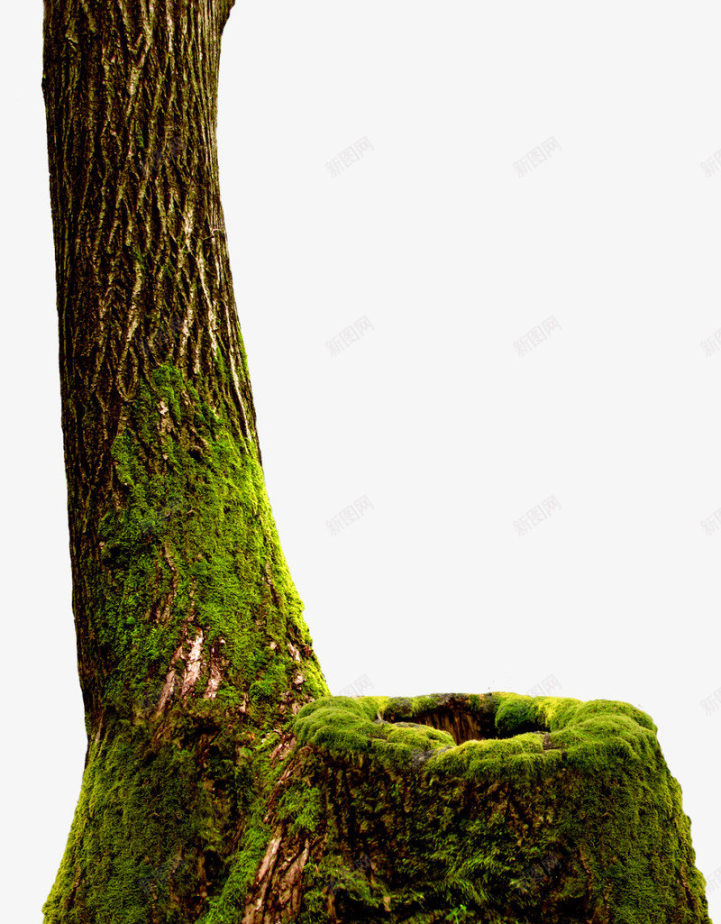 砍伐树木木头桩子psd免抠素材_新图网 https://ixintu.com 年轮 木头 树木 树桩 砍伐 砍伐树木 砍树 破坏树木 破坏环境