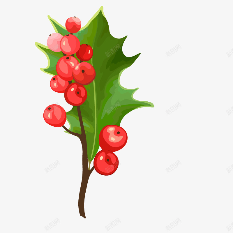 绿色植物圣诞树叶子png免抠素材_新图网 https://ixintu.com 冬季 圣诞节植物 手绘 果子 装饰