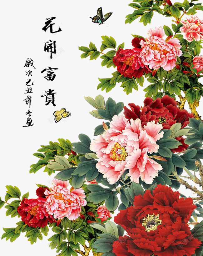 牡丹花png免抠素材_新图网 https://ixintu.com 牡丹 玫瑰 粉牡丹 花开富贵 鲜花