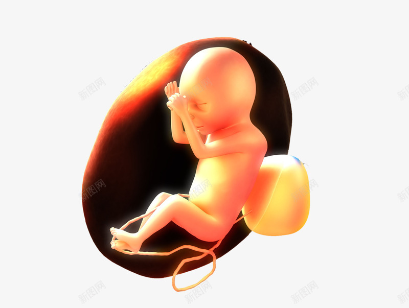揉眼的胎儿png免抠素材_新图网 https://ixintu.com 卡通 呵护子宫 子宫 孕妇 孕育生命