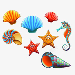 彩色贝壳和海螺素材