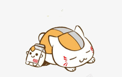 睡觉图形睡觉的猫咪高清图片