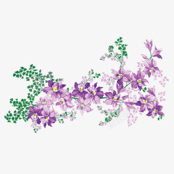 紫草紫色花草树枝高清图片