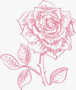 花朵大红花手绘玫瑰高清图片