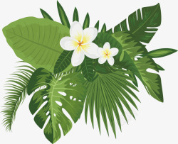 绿色图形白色花朵标题框高清图片
