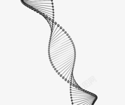 脱氧核糖深灰色dna遗传物质基因肽链脱高清图片