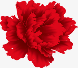 花朵高贵大红色牡丹花高清图片