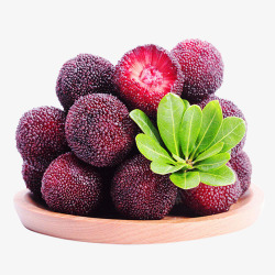 紫色食品紫色新鲜的杨梅食物高清图片