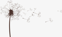手绘蒲公英蒲公英花纹矢量图高清图片