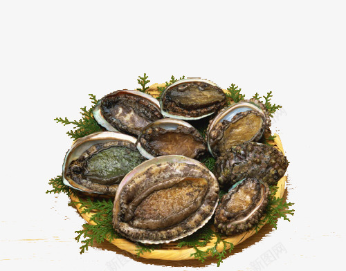 海鲜贝壳psd免抠素材_新图网 https://ixintu.com 海鲜 美味的 贝壳肉 鲜美