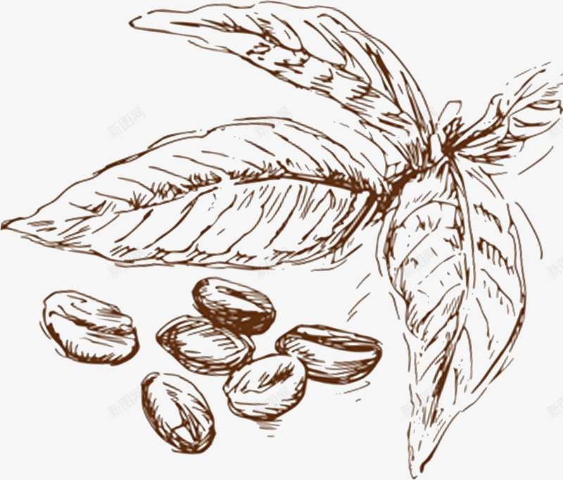 咖啡饮品图标png_新图网 https://ixintu.com 元素 咖啡 菜单 饮品