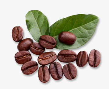 创意摄影红色的咖啡豆叶子png免抠素材_新图网 https://ixintu.com 创意 叶子 咖啡豆 摄影 红色