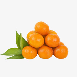 橙色橘子片橘子高清图片