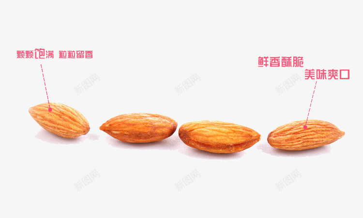 巴旦木仁psd免抠素材_新图网 https://ixintu.com 坚果 巴旦木仁 果实 素材