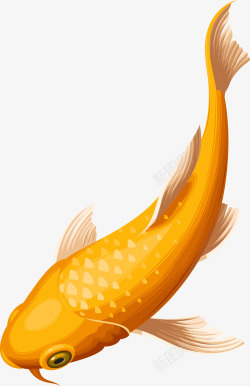 卡通锦鲤创意黄色鲤鱼图高清图片