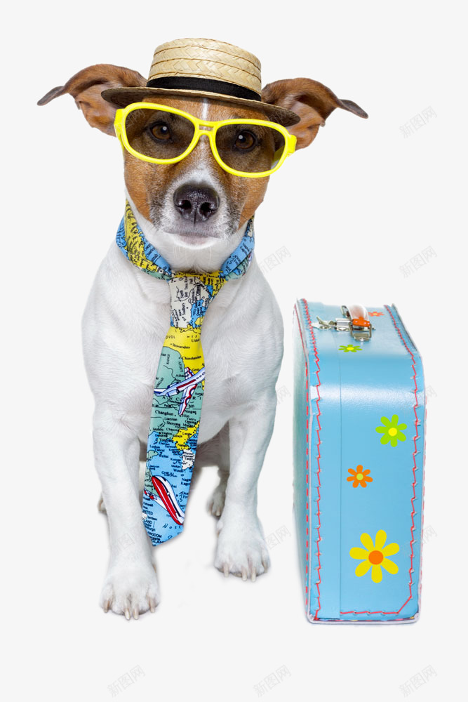 旅行的宠物狗png免抠素材_新图网 https://ixintu.com 动物 宠物 旅行 狗狗 眼镜 行李箱