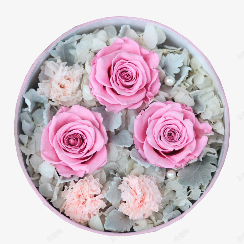 粉色玫瑰礼物包装png免抠素材_新图网 https://ixintu.com 包装设计 玫瑰 礼物 粉色 装饰