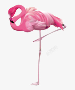 保护鸟类手绘卡通粉色火烈鸟高清图片