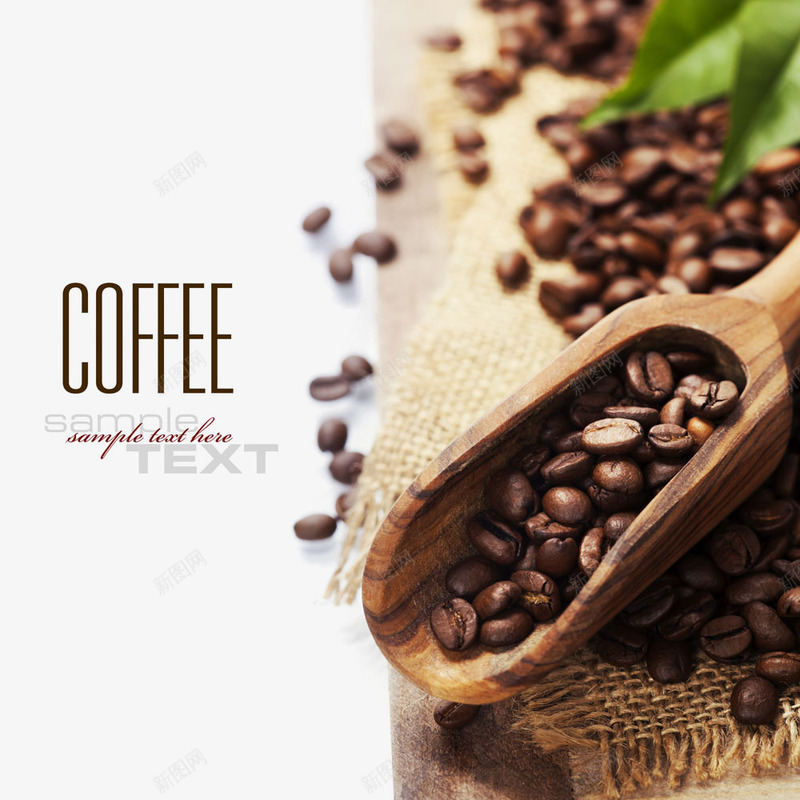 咖啡原料png_新图网 https://ixintu.com 卡片封面 咖啡 咖啡原料 咖啡豆 实物 封面 摄影 背景装饰 食材摄影
