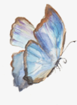 春季多彩蝴蝶手绘蓝色春季水彩蝴蝶高清图片