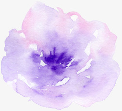 精致卡片紫色水粉玫瑰花高清图片