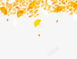 水彩落叶银杏叶子高清图片