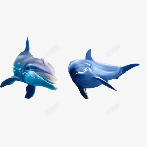 海洋生物3D效果片psd免抠素材_新图网 https://ixintu.com 3D图 海豚 游动 蓝色 鲸鱼