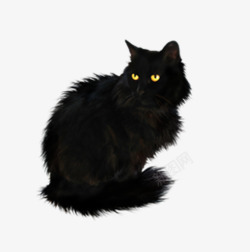 呆呆的黑色猫黑色的猫咪图标高清图片