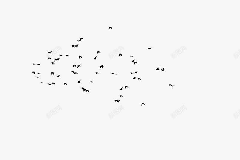 一群乌鸦在空中展翅飞翔png免抠素材_新图网 https://ixintu.com 乌鸦 展翅 空中 飞翔