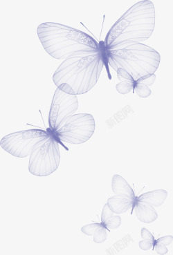 五只蝴蝶蓝色蝴蝶透明背景高清图片