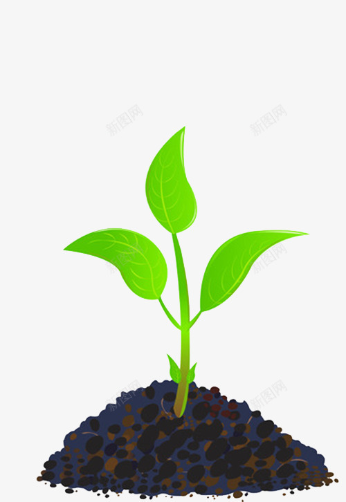 生长在土壤里的小绿芽png免抠素材_新图网 https://ixintu.com 初春的力量 嫩绿 嫩绿的小芽 小绿芽 活力 生长在土壤 绿色 青春