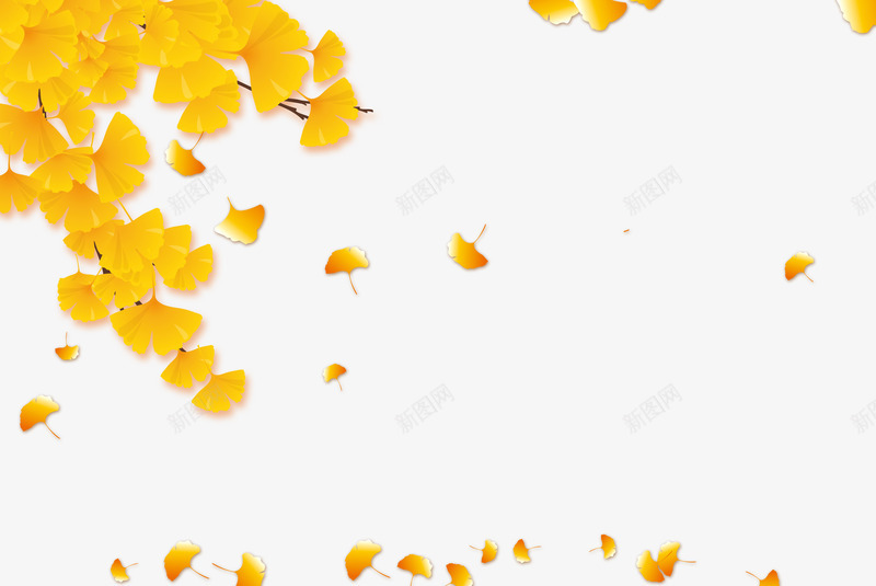 漂浮树叶png免抠素材_新图网 https://ixintu.com 树叶 银杏树叶 黄色