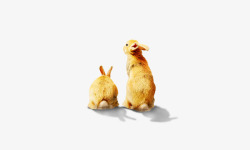 两只黄兔子兔子背影高清图片