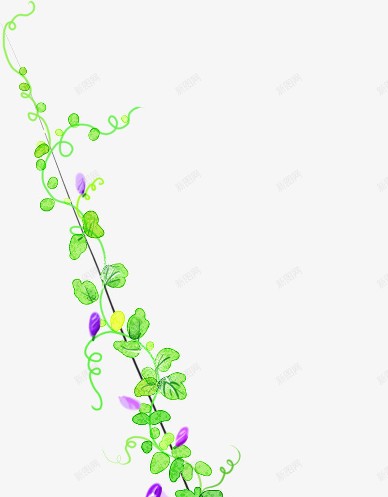 手绘清新树叶花朵装饰png免抠素材_新图网 https://ixintu.com 树叶 清新 花朵 装饰