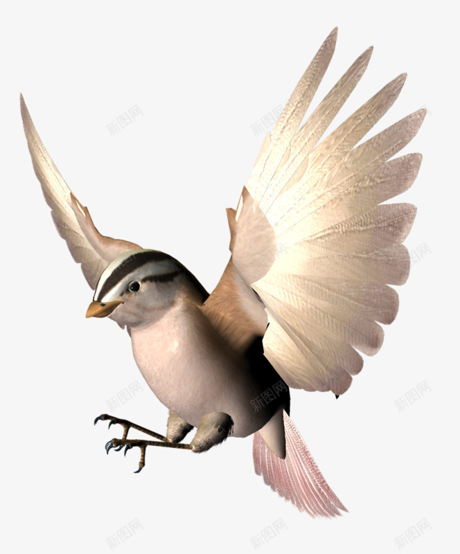 展开翅膀的鸟png免抠素材_新图网 https://ixintu.com 3D卡通鸟 展开翅膀 飞翔 鸟