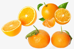 橙子橘子元素素材