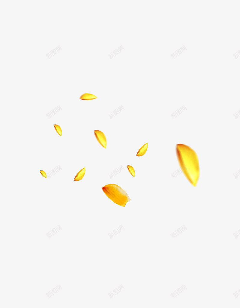 漂浮的荷花花瓣png免抠素材_新图网 https://ixintu.com 背景装饰 花瓣 荷花 黄色