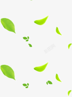 漂浮嫩绿树叶叶子素材