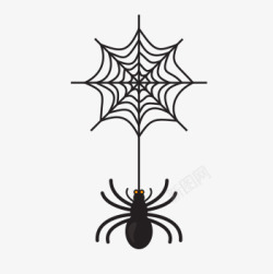 黑色蜘蛛网蜘蛛高清图片