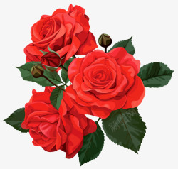 手绘盛开桃花红色带刺玫瑰高清图片