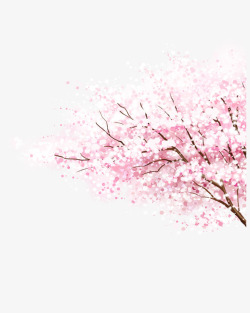 唯美樱花树清新唯美粉色樱花树高清图片